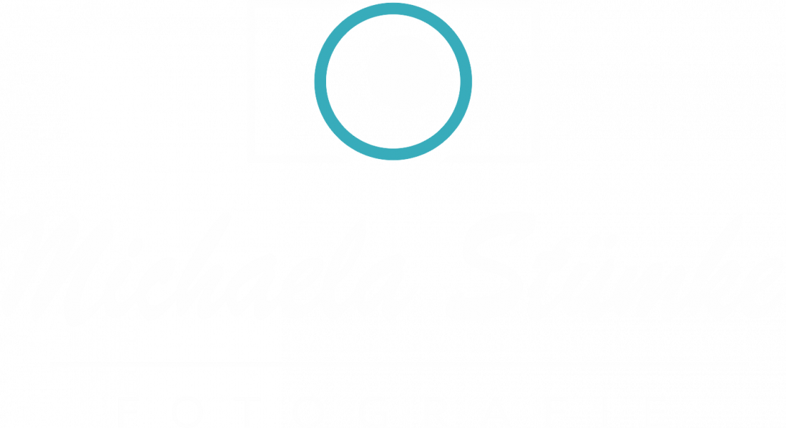 gallery/Logo_Elagrafie