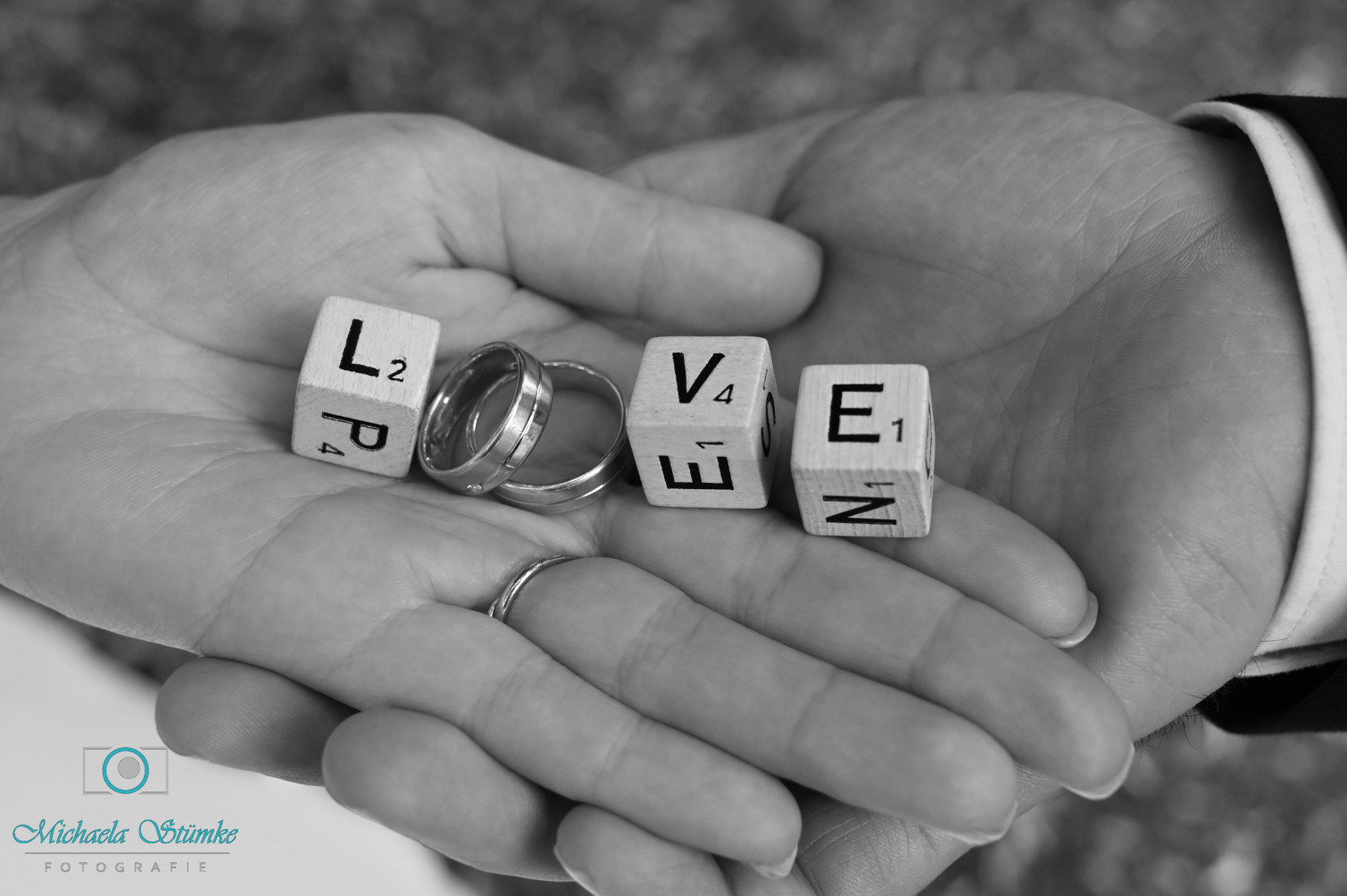 gallery/DSC_0843swlogo